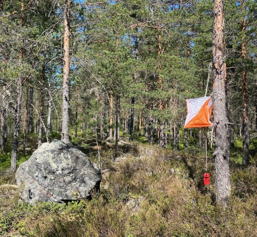 Treningsløp Skarratangen